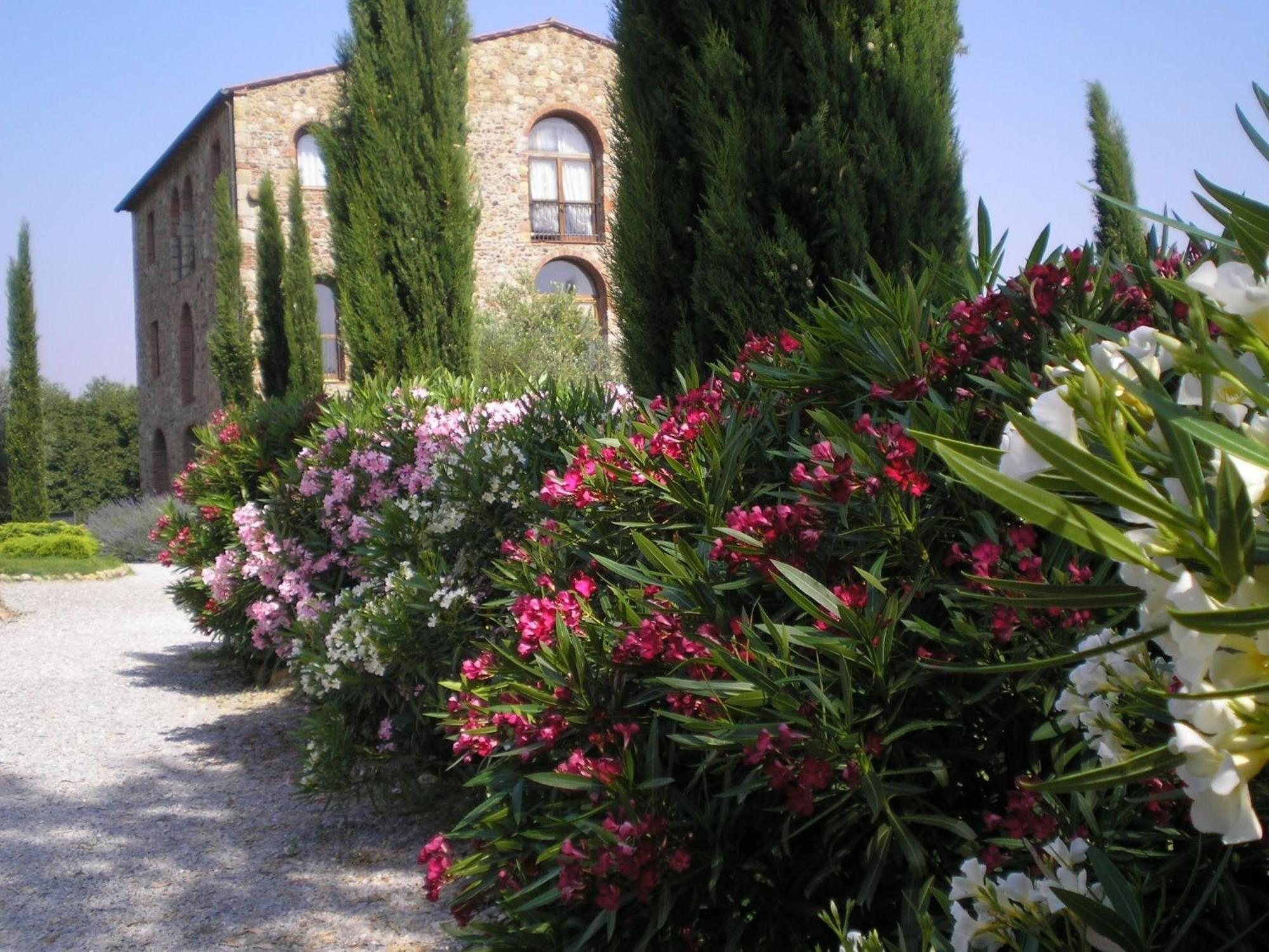 Villa Il Convento Di Monte Pozzali Massa Marittima Exterior foto