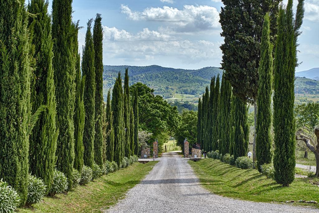 Villa Il Convento Di Monte Pozzali Massa Marittima Exterior foto